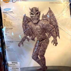 Gargoyle Youth Size Large - Halloween Costume